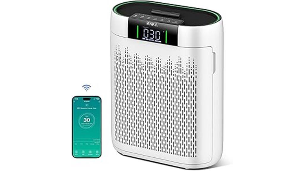 large room air purifier