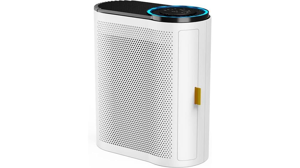 large room air purifier